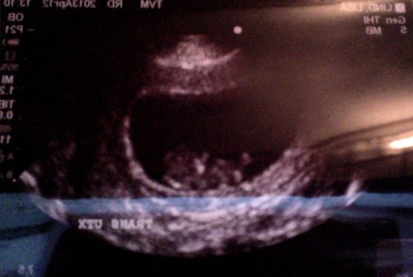 Photo on 4-23-13 at 10.19 PM