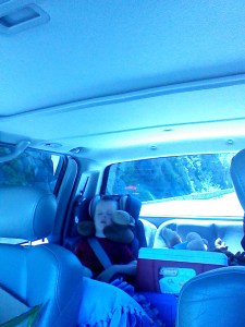 Passed out and loving his monkey neck pillow