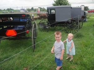 The kids could not get enough horse viewing time