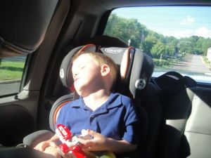 Fitting in a quick nap on the drive