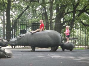 The Safari playground...just like Africa