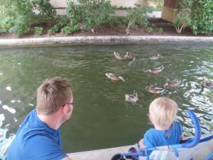 Ducks in OKC