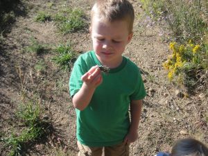 Levi, that's a cactus...those spikes hurt, don't they, if they go in your toe.  Yes, that happened.