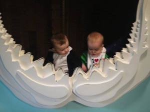 Finn & Levi in the shark's mouth, about six months old