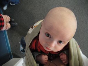 Axel liked the zoo, too, from the carrier