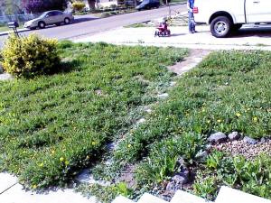 The rototiller is ready for action.