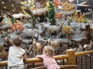Cabela's is like a zoo...