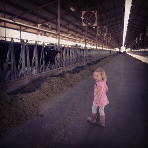 Amelia LOVED the cows at the dairy…so. much.