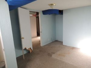 Basement bedroom 2, before - dogs ATE. THE. DOOR.
