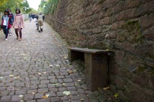The steep hill up to the Heidelberg Castle - the bench is horizontal for reference