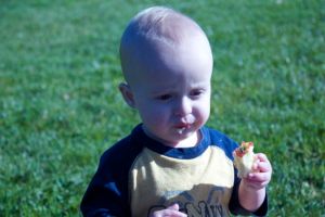 A Ponderer of Apples