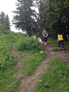 The other side of the Alp looked very much like our home in Western Washington